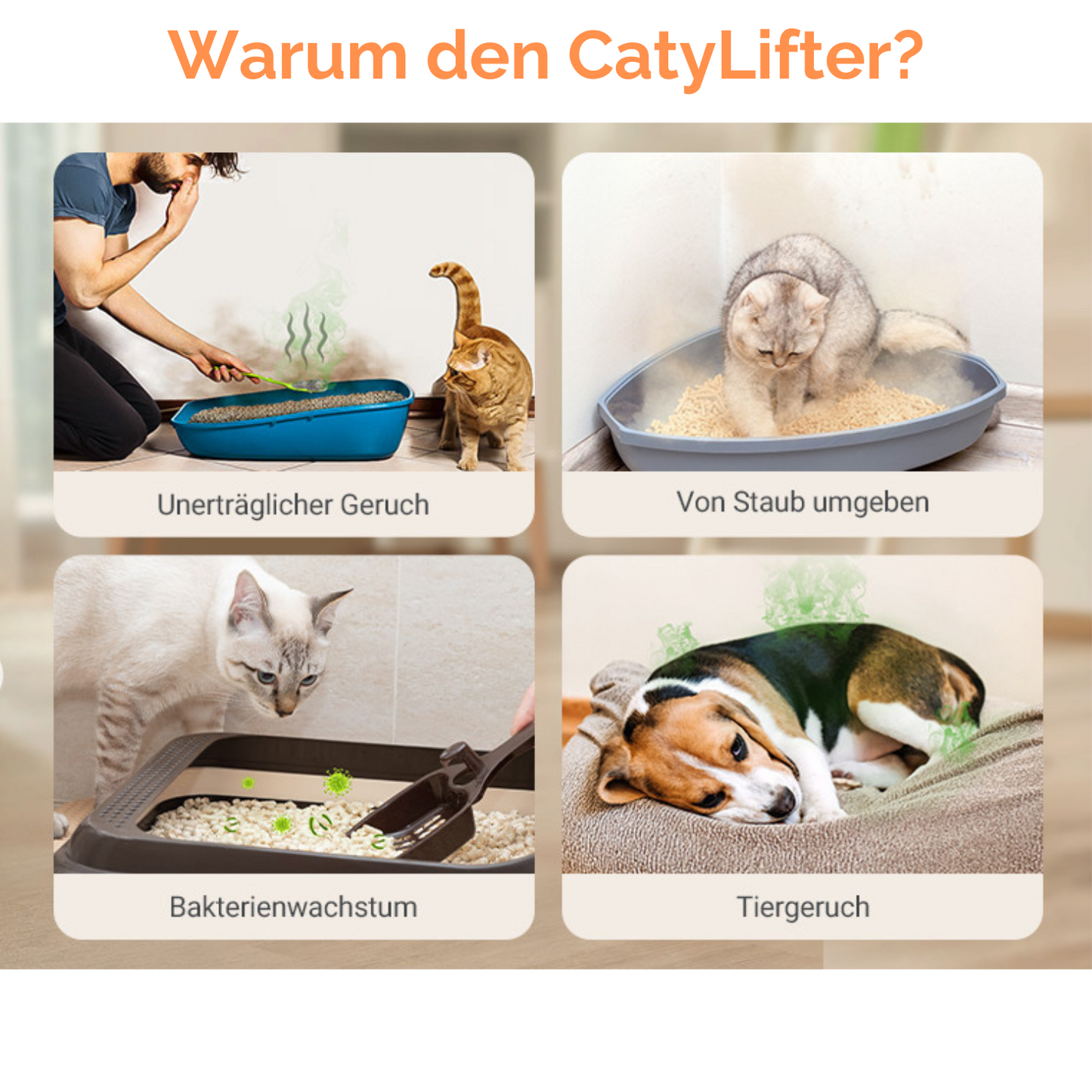 CatyLifter® - Immer frische Luft